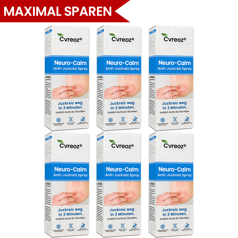 6er-Pack 💥 Bester Stückpreis garantiert: